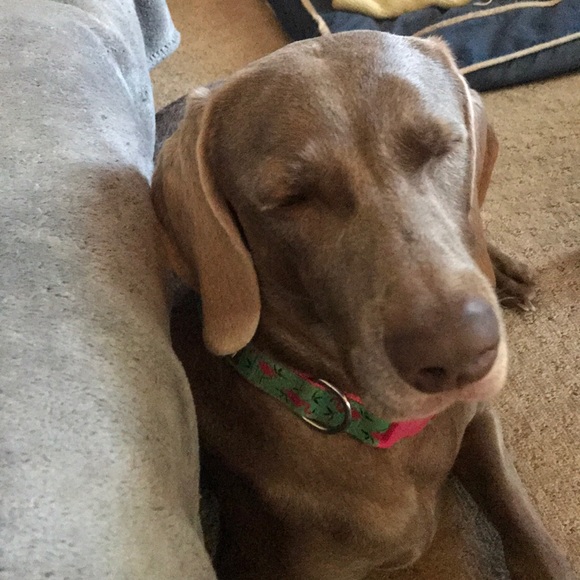 Nancy Reenan - Poshmark Profile Picture of Nancy Reenan (@nancyreenan) on Poshmark