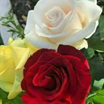 Profile Picture of Bhavya Damerla (@bhavyadamerla) on Instagram