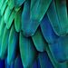 Profile Picture of Yavanna Kementári (@A2ndSorceress) on Pinterest
