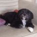 Profile Picture of Mandy Carey (@mandy.carey.96387) on Facebook