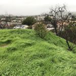 Profile Picture of Andrew Navarrete (@onestopshopwhiskey) on Instagram