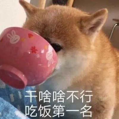 Profile Picture of Chris Yin (@chrisyin5) on Twitter