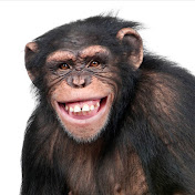 Profile Picture of Matthew Yohn (@matthewyohn2079) on Youtube