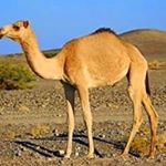 Profile Picture of Jason Adrian (@rahmanfathur988) on Instagram