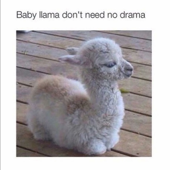 Profile Picture of Joachim Stumm (@big_chupa) on Poshmark