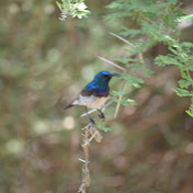 Profile Picture of Daniel Driessen (@danieldriessen6054) on Youtube