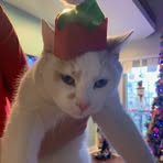 Profile Picture of Billy Hicks (@Billy-Hicks) on Facebook