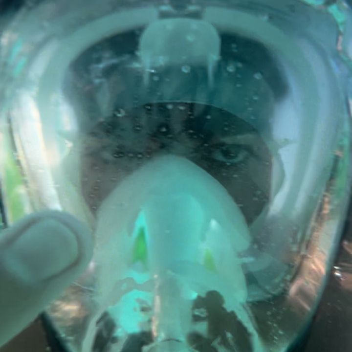 Profile Picture of Horseph 🥛 (@josephvalente_) on Tiktok