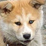 Profile Picture of Paul Wille (@paul.wille.731) on Instagram