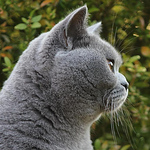 Profile Picture of Marc Soree (@marc_soree) on Flickr