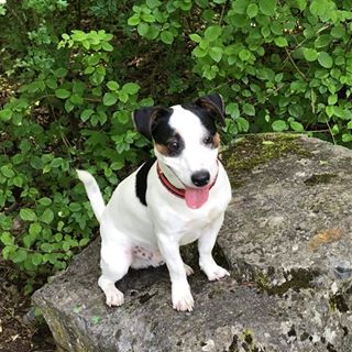 Profile Picture of Jérémy Van Ermen (@jeremy.vanermen.923) on Facebook