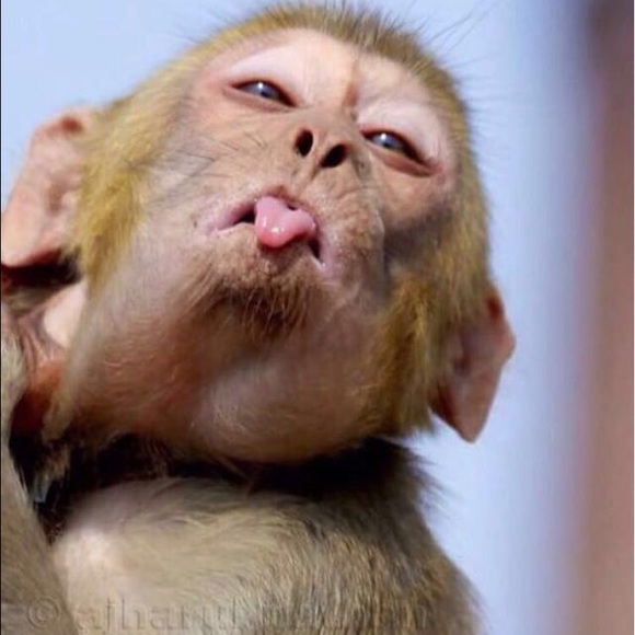 Profile Picture of Eric Demoya (@edemoya69) on Poshmark