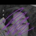 Profile Picture of Abigail Lynn Ulderich (@abigail.lynn.ulderich) on Facebook