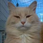 Dana Scully - Instagram Profile Picture of Dana Scully (@scully3644) on Instagram