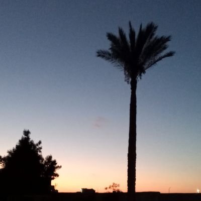 Profile Picture of Adam Alli (@AdamAlli15) on Twitter