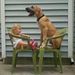 Profile Picture of Amanda Canter Myers (@khloerosie) on Pinterest