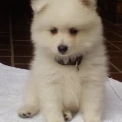 Profile Picture of Tony Eccles (@313902148) on Myspace