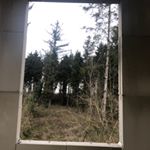 Profile Picture of Sanne Hulsebos (@huisje.in.het.bos) on Instagram
