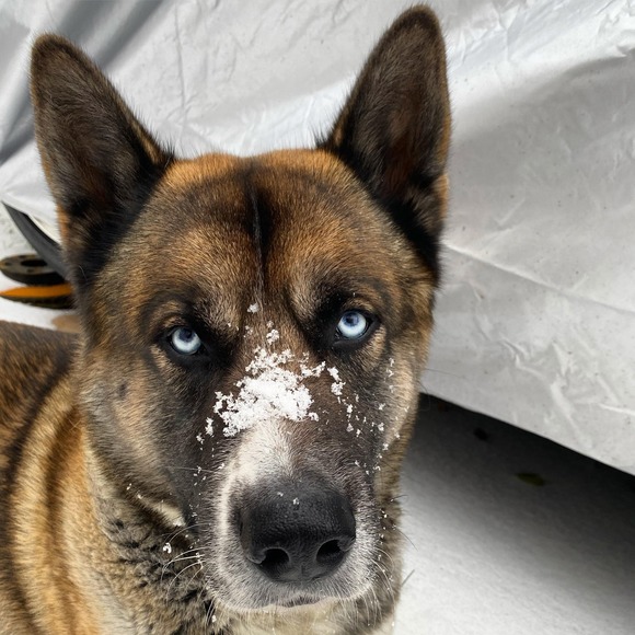 Profile Picture of Katrina Ruberto (@k_ruberto) on Poshmark