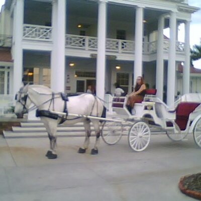 Profile Picture of Charlene Casey (@ccdarlin) on Twitter