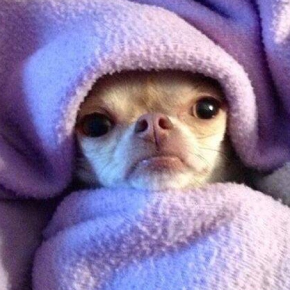 Profile Picture of Joyanna Helbig (@helbigjk) on Poshmark