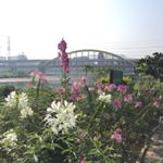 Profile Picture of Zoe Tsai (@zoe_tsai0930) on Instagram