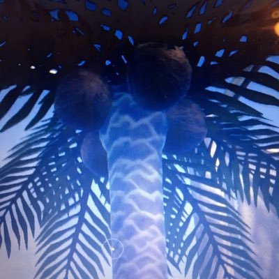 Profile Picture of Paul The Palm Tree (@PalmTreePaulHD) on Twitter