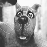 Profile Picture of Joseph Osuna (@osuna_joseph) on Instagram