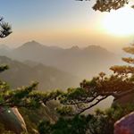 Profile Picture of Susan Hsieh (@susan.hsieh.5437) on Instagram