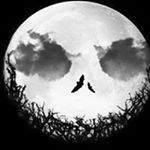 Profile Picture of Meta Loberg (@meta_loves_chris) on Instagram