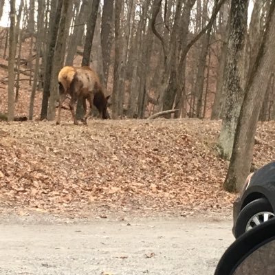 Profile Picture of Tim (@Tanner_M_Pugh) on Twitter