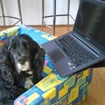 Profile Picture of Cathy Balding (@cathybalding) on Instagram