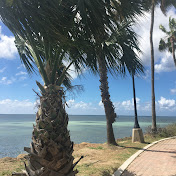 Profile Picture of Kim Grenon (@kimgrenon2633) on Youtube