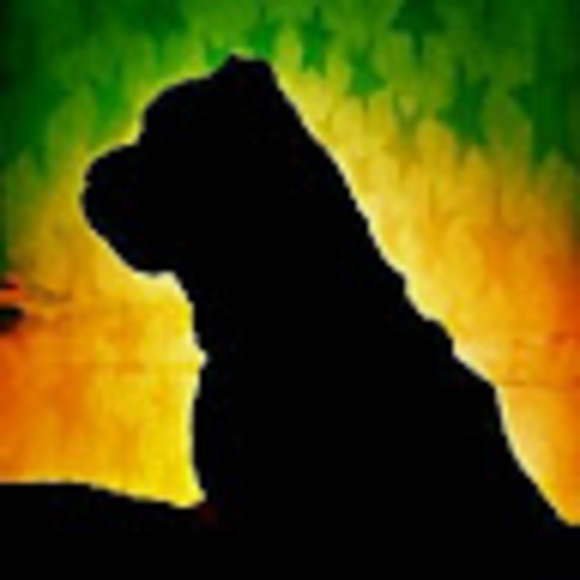 Profile Picture of Bryan Barker (@sweet707sunsets) on Poshmark