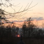 Profile Picture of Paul Verheggen (@paulverheggen) on Instagram