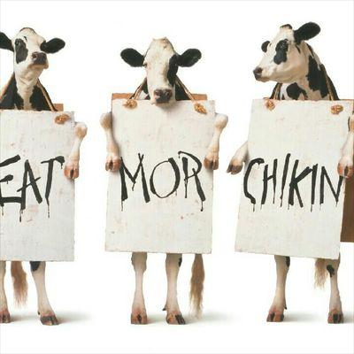 Profile Picture of Will Berry (@markburdsall) on Twitter