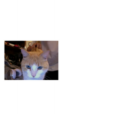 Profile Picture of Anthony Mahone (@MahoneAnthony) on Twitter