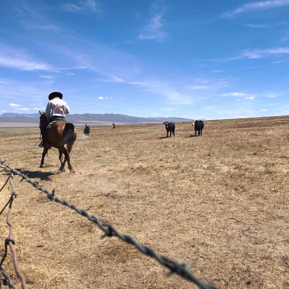 Profile Picture of Jonathan Holland (@jonathanholl615) on Poshmark