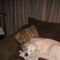 Profile Picture of Tamara Schultz (@tamara.schultz.92) on Facebook