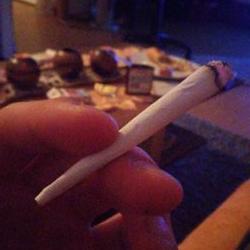 Profile Picture of Tim Schubert (@Timschubert12) on Twitter