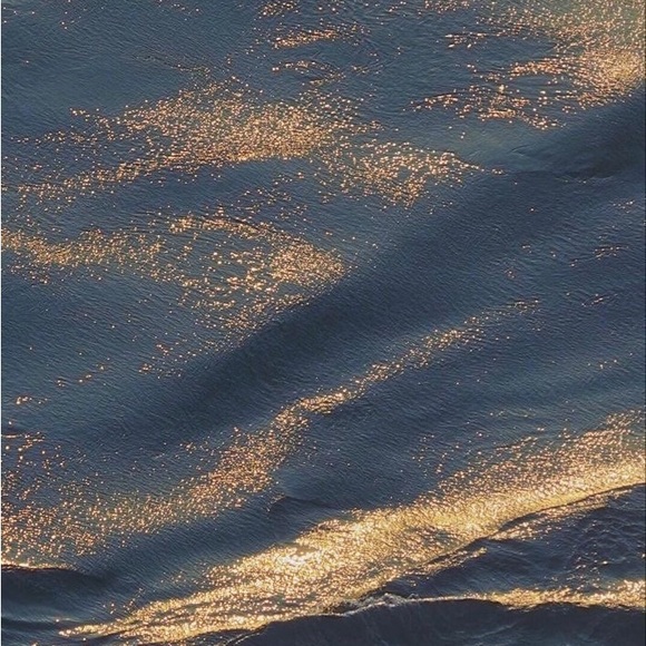 Profile Picture of Sam Schenatzky (@samijo12222) on Poshmark