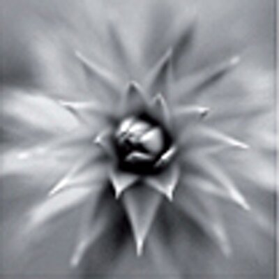 Profile Picture of Jason Ingram (@jasonphotos) on Twitter