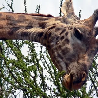 Profile Picture of Michael Jablon (@michaeljablon) on Instagram