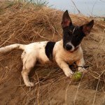 Profile Picture of Gary Coventry (@gcovo85) on Instagram