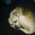 Profile Picture of Jesse Escobar (@colorado.jse) on Instagram