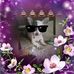 Profile Picture of Penny Pickell (@penny.pickell.3) on Facebook