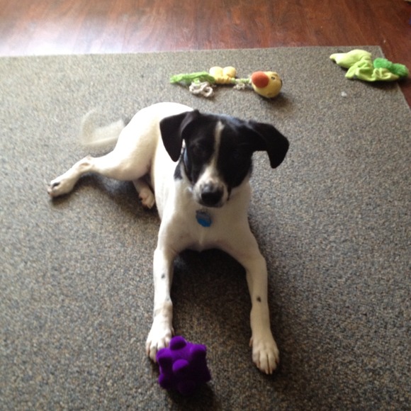 Profile Picture of Jenna Poynton (@jennap08) on Poshmark