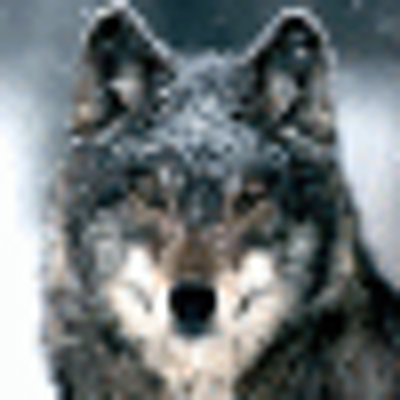 Profile Picture of Cedric Carpenter (@hacradersq) on Twitter