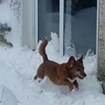 Fionnuala Dalton - Instagram Profile Picture of Fionnuala Dalton (@fionnualadalton) on Instagram