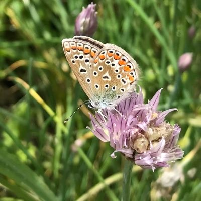 Profile Picture of Marcel Cachin SVT (@MarcelSVT) on Twitter